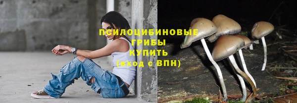 PSILOCYBIN Балахна