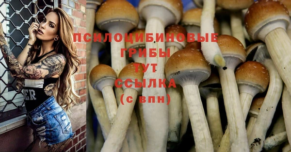 прущая мука Богданович