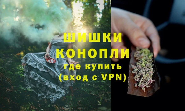 ПСИЛОЦИБИНОВЫЕ ГРИБЫ Баксан