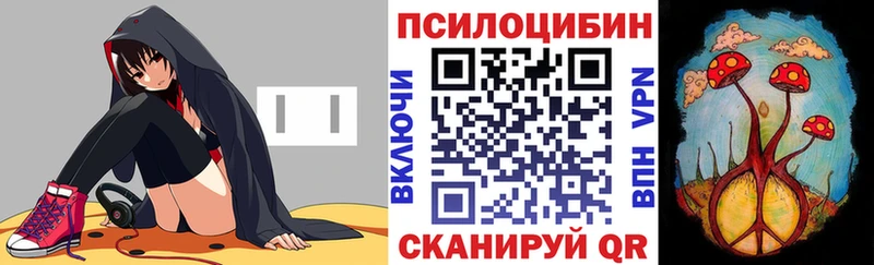 Галлюциногенные грибы Psilocybine cubensis Болхов